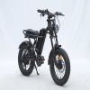 GT-0J2 New Design 16'' Mountain Electric Bicycle Out Door With Fat Tire Ebike