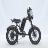 GT-0J2 New Design 16'' Mountain Electric Bicycle Out Door With Fat Tire Ebike