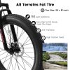 Ecarpat 26 Inch Fat Tires Mountain Bike, 4-Inch Wide Wheel, 21-Speed Disc Brakes, Mens Womens Trail Beach Snow Commuter City Mountain Bike, Carbon Ste